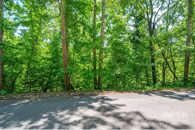 Lot 132 Plantation Drive, Rutherfordton, NC 28139 - Photo 12