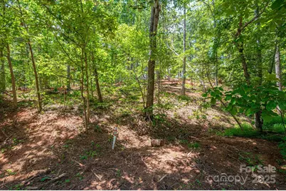 Lot 193 Plantation Drive, Rutherfordton, NC 28139 - Photo 12