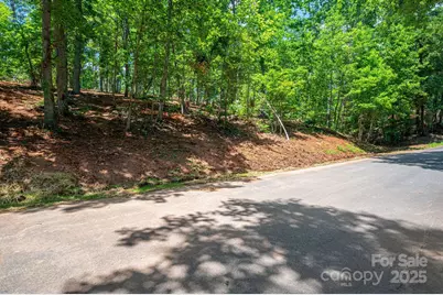 Lot 193 Plantation Drive, Rutherfordton, NC 28139 - Photo 8