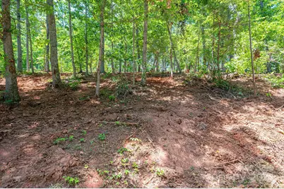 Lot 193 Plantation Drive, Rutherfordton, NC 28139 - Photo 10