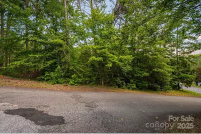 Lot 207 Plantation Drive, Rutherfordton, NC 28139 - Photo 10
