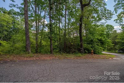 Lot 207 Plantation Drive, Rutherfordton, NC 28139 - Photo 1