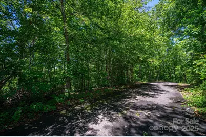 Lot 166 Plantation Drive, Rutherfordton, NC 28139 - Photo 22