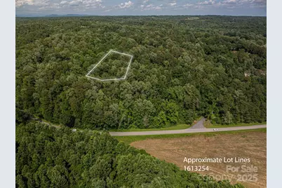 Lot 166 Plantation Drive, Rutherfordton, NC 28139 - Photo 4