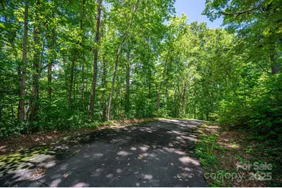 Lot 166 Plantation Drive, Rutherfordton, NC 28139 - Photo 1