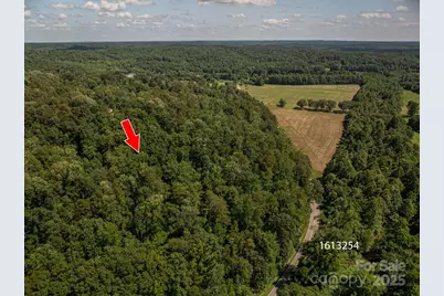 Lot 166 Plantation Drive, Rutherfordton, NC 28139 - Photo 6