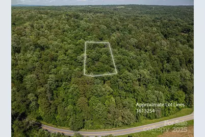 Lot 166 Plantation Drive, Rutherfordton, NC 28139 - Photo 2