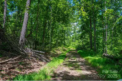 Lot 210 Plantation Drive, Rutherfordton, NC 28139 - Photo 2
