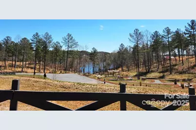 4083 Grays Peak Summit None #169, Connelly Springs, NC 28612 - Photo 38