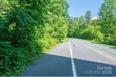 Lot 3 Cleghorn Mill Road, Rutherfordton, NC 28139 - Photo 8