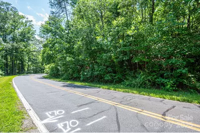 Lot 2 Cleghorn Mill Road, Rutherfordton, NC 28139 - Photo 12
