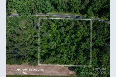 Lot 2 Cleghorn Mill Road, Rutherfordton, NC 28139 - Photo 2