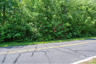 Lot 2 Cleghorn Mill Road, Rutherfordton, NC 28139 - Photo 10