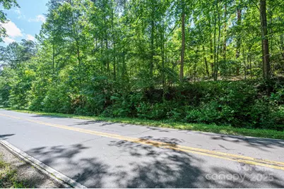 Lot 1 Cleghorn Mill Road, Rutherfordton, NC 28139 - Photo 2