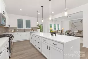 310 Jubilee Wy, Pageland, SC 29728 - Photo 4