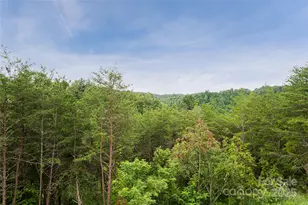 181 Flint Morgan Rd, Mars Hill, NC 28754 - Photo 20
