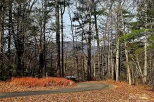 90 Joe Jenkins Rd, Fairview, NC 28730 - Photo 4