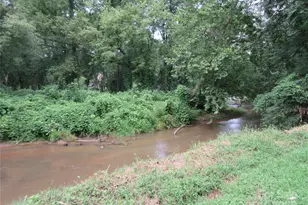 34 W Rambling Creek, Tryon, NC 28782 - Photo 2