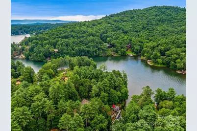 64 Bee Tree Way, Lake Toxaway, NC 28747 - Photo 2