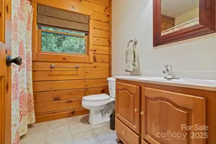 266 Rhododendron Dr, Saluda, NC 28773 - Photo 20