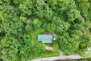 266 Rhododendron Dr, Saluda, NC 28773 - Photo 34