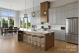 163 Samuel Dr, Mills River, NC 28759 - Photo 14