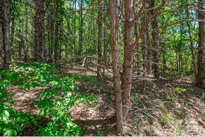 Lot 12 Meadow Crossing Drive, Rutherfordton, NC 28139 - Photo 1