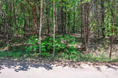 Lot 12 Meadow Crossing Drive, Rutherfordton, NC 28139 - Photo 12