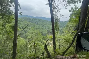 000 N Satellite Mountain Road N, Burnsville, NC 28714 - Photo 6