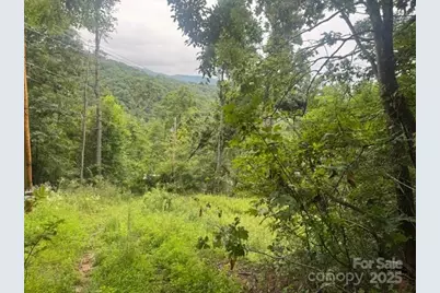 000 N Satellite Mountain Road N, Burnsville, NC 28714 - Photo 4