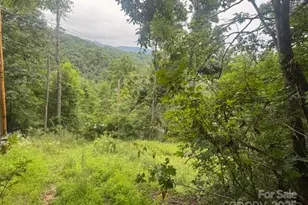 000 N Satellite Mountain Road N, Burnsville, NC 28714 - Photo 4