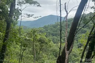 000 N Satellite Mountain Road N, Burnsville, NC 28714 - Photo 2