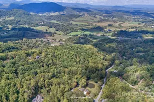 25 View Ridge Pkwy, Leicester, NC 28748 - Photo 40