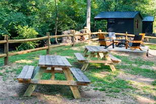 43 Polly Spout Rd, Marion, NC 28752 - Photo 28