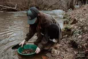 43 Polly Spout Rd, Marion, NC 28752 - Photo 12