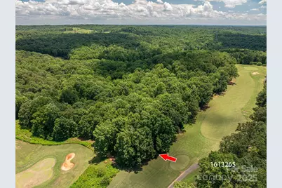 Lot 219 Plantation Drive, Rutherfordton, NC 28139 - Photo 8