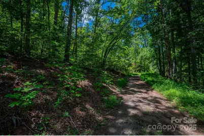 Lot 221 Plantation Drive, Rutherfordton, NC 28139 - Photo 2