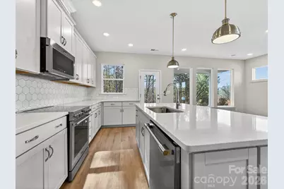 245 Alluvium Lane, Waxhaw, NC 28173 - Photo 10