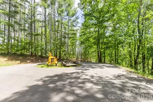 9999 River Edge Dr, Burnsville, NC 28714 - Photo 8