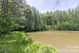 9999 River Edge Dr, Burnsville, NC 28714 - Photo 2