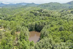 9999 River Edge Dr, Burnsville, NC 28714 - Photo 20