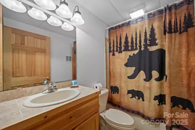 664 Sweetbriar Road S #41, Lake Lure, NC 28746 - Photo 20