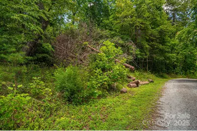 Lot 208 Plantation Drive, Rutherfordton, NC 28139 - Photo 1