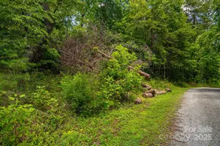 Lot 208 Plantation Dr, Rutherfordton, NC 28139 - Photo 1