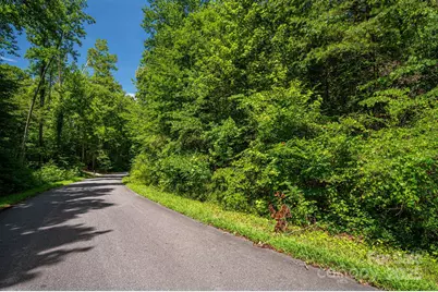 Lot 164 Plantation Drive, Rutherfordton, NC 28139 - Photo 22