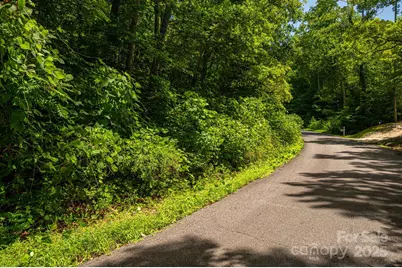 Lot 164 Plantation Drive, Rutherfordton, NC 28139 - Photo 2