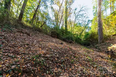 32 Waynesville Avenue, Asheville, NC 28806 - Photo 32