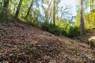 32 Waynesville Ave, Asheville, NC 28806 - Photo 32