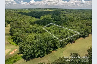 Lot 217 Plantation Drive, Rutherfordton, NC 28139 - Photo 2