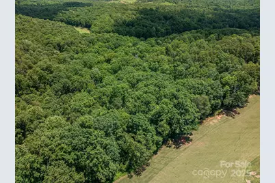 Lot 217 Plantation Drive, Rutherfordton, NC 28139 - Photo 6